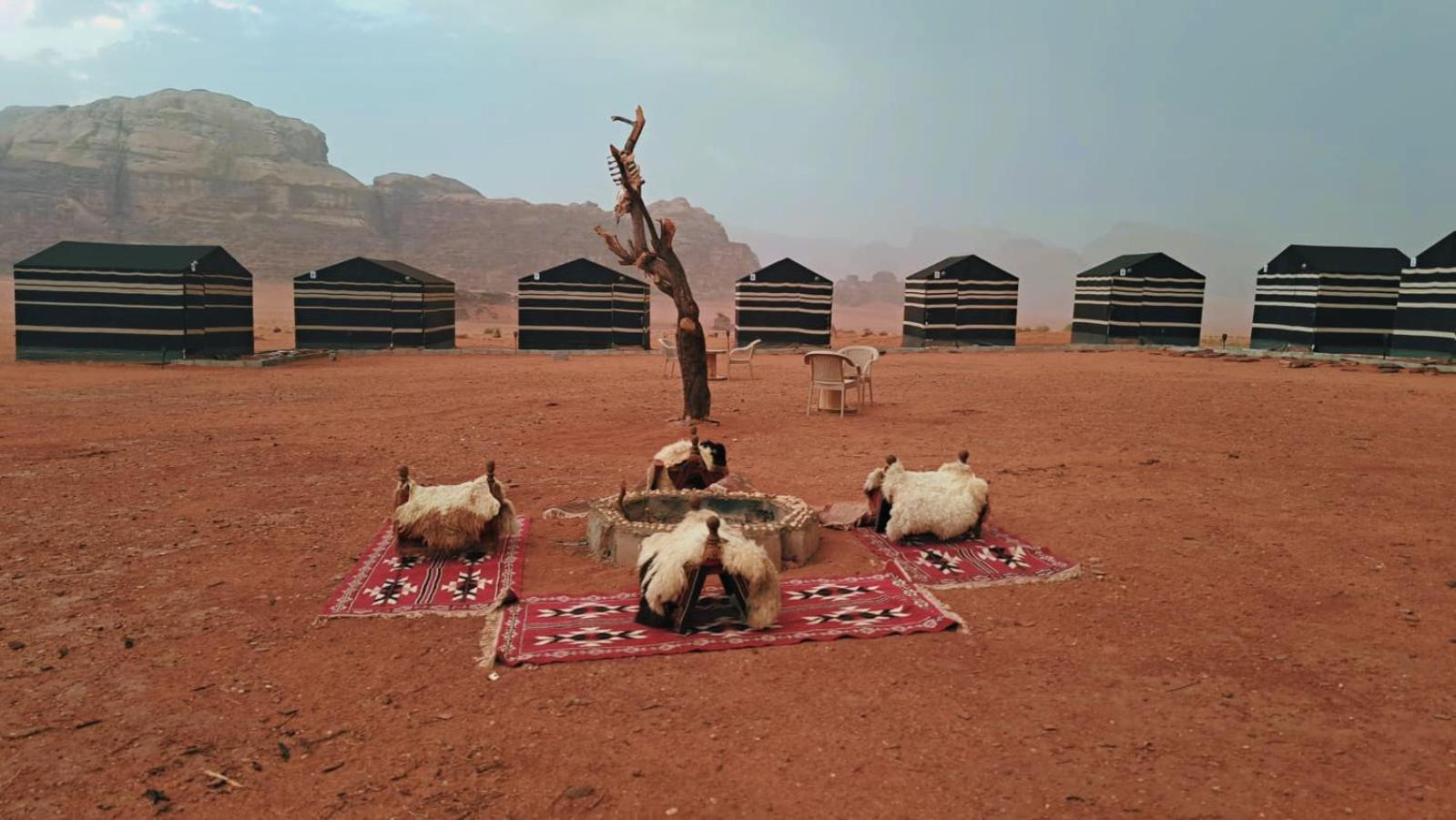 Wadi Rum Bedouin Heart Camp エクステリア 写真